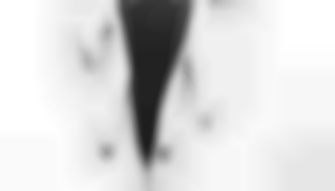 Breaking barriers the rise of gay influencers in conservative societies